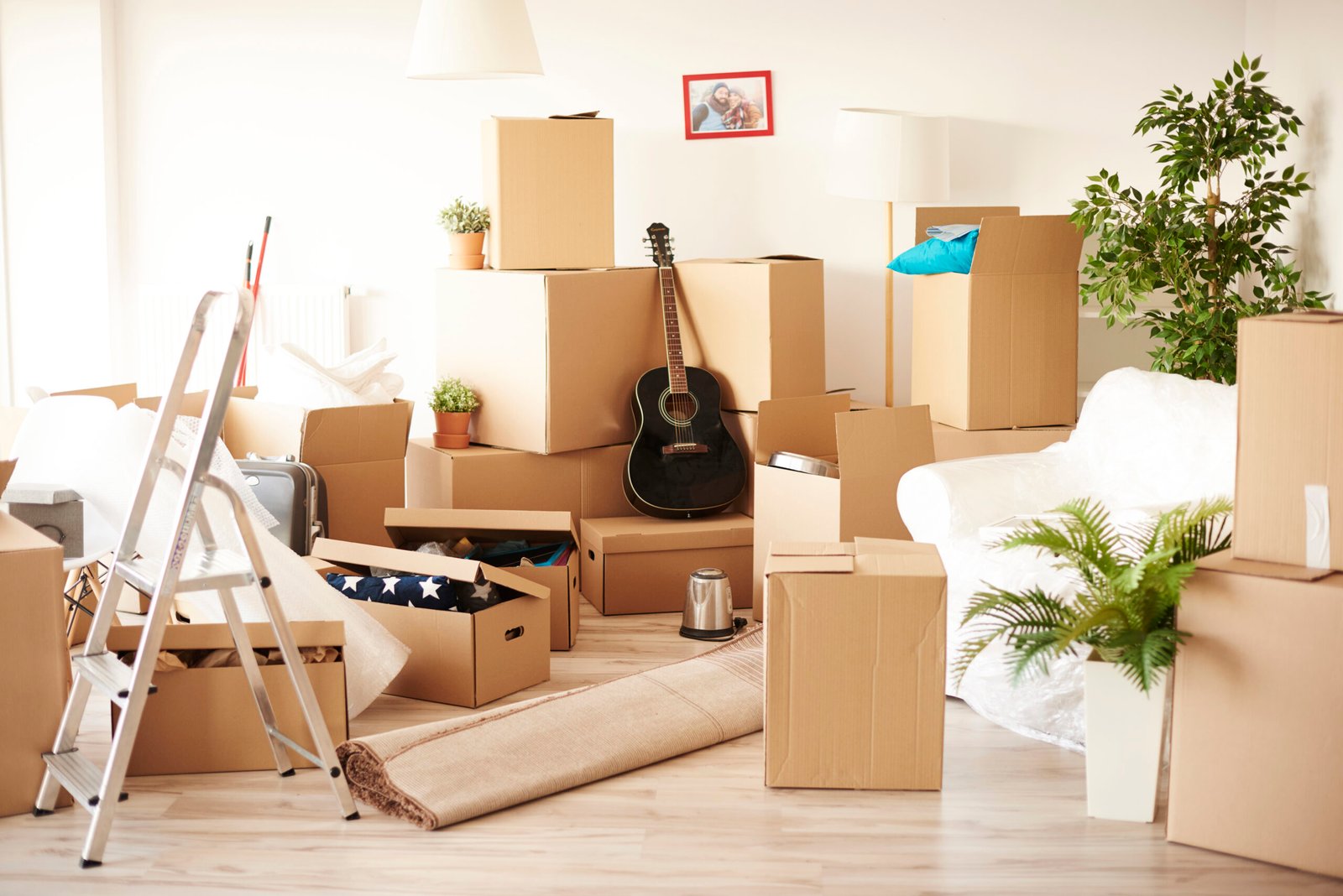 Planning your move - Fox Moving CA